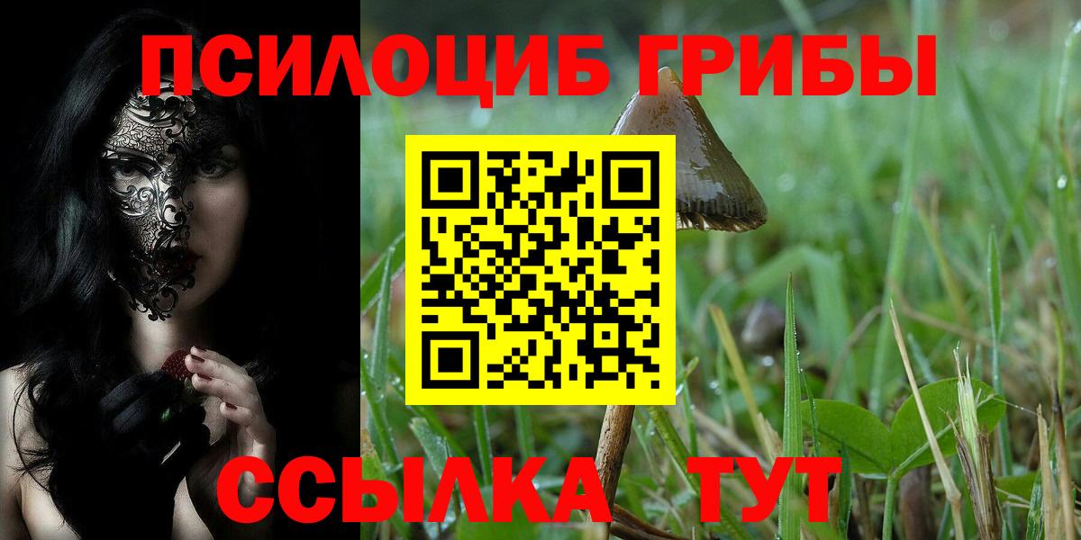 Псилоцибиновые грибы MAGIC MUSHROOMS Сертолово