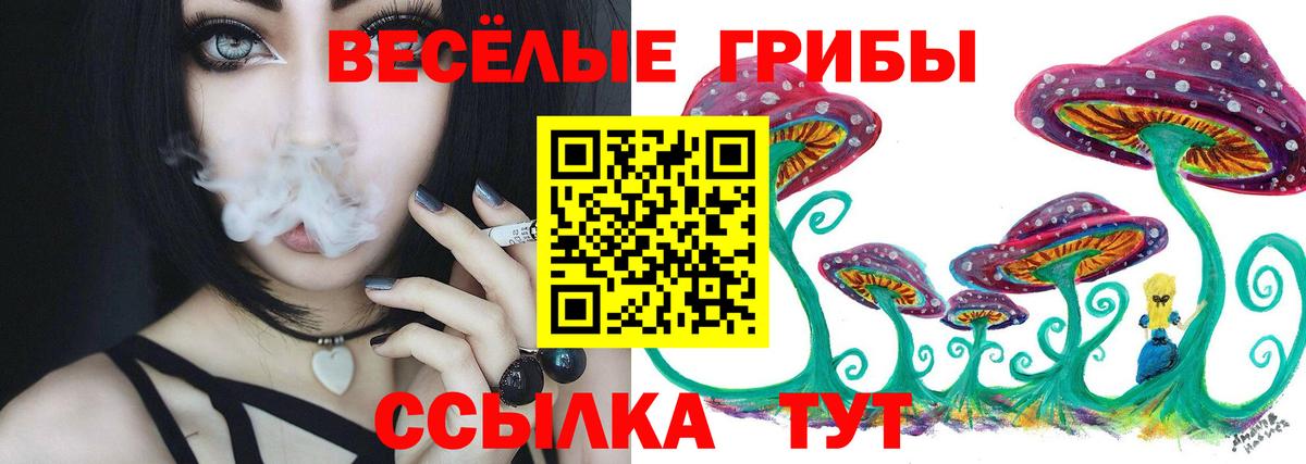 Сертолово  Псилоцибиновые грибы мицелий  Вход с VPN 